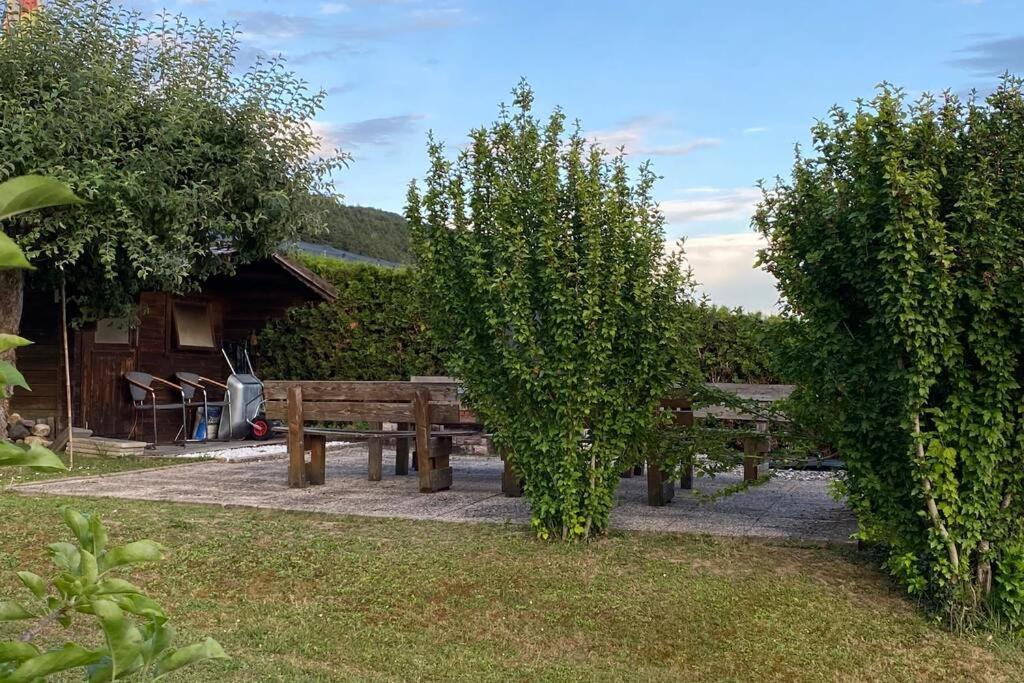 Die Seeblume - Ferienwohnung Mit Pool Und Seeblick Bodman-Ludwigshafen Εξωτερικό φωτογραφία